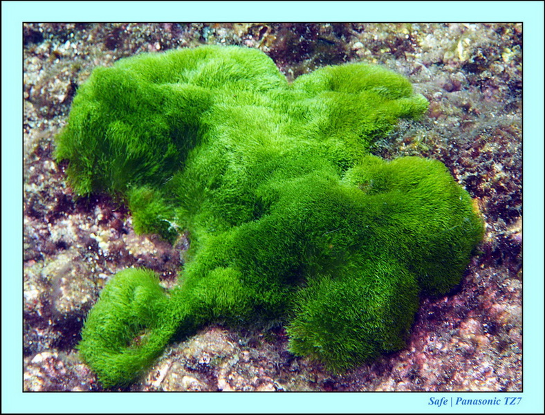 2012 - 03 - Koh Ha 16